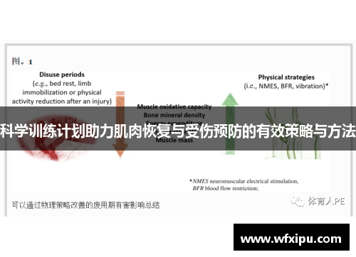 科学训练计划助力肌肉恢复与受伤预防的有效策略与方法