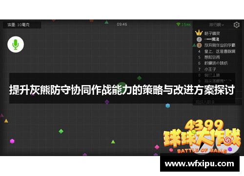 提升灰熊防守协同作战能力的策略与改进方案探讨