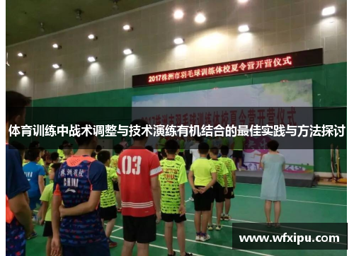 体育训练中战术调整与技术演练有机结合的最佳实践与方法探讨