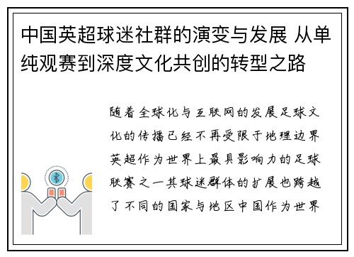 中国英超球迷社群的演变与发展 从单纯观赛到深度文化共创的转型之路