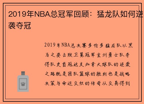 2019年NBA总冠军回顾：猛龙队如何逆袭夺冠