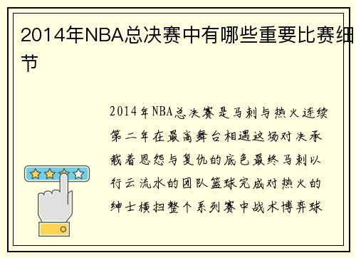 2014年NBA总决赛中有哪些重要比赛细节